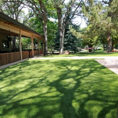 Turf Grass North Manchester, Indiana Dog Pound, Small Backyard Ideas