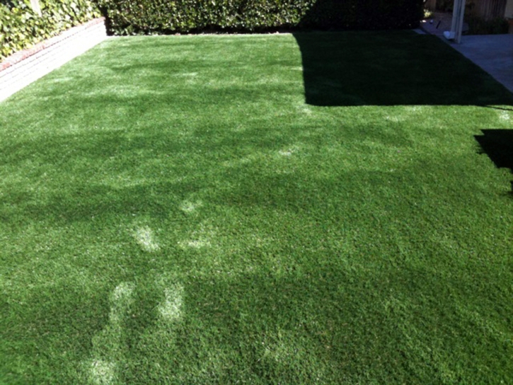 Artificial Grass Carpet Battle Ground, Indiana Dogs, Small Backyard Ideas