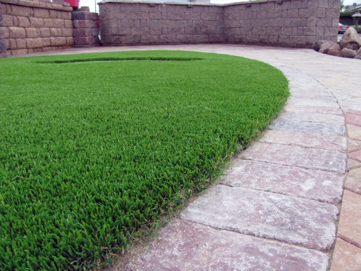 Artificial Grass Carpet Galveston, Indiana Dog Park, Front Yard Landscaping