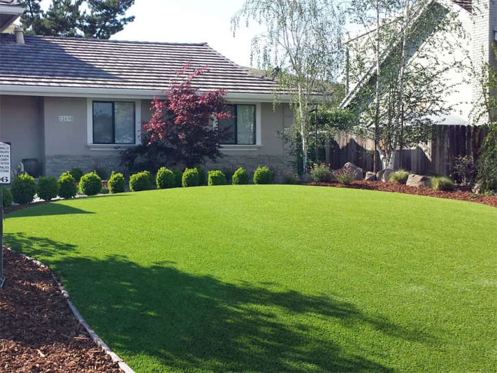 Artificial Grass Carpet Montezuma, Indiana Roof Top, Front Yard Ideas