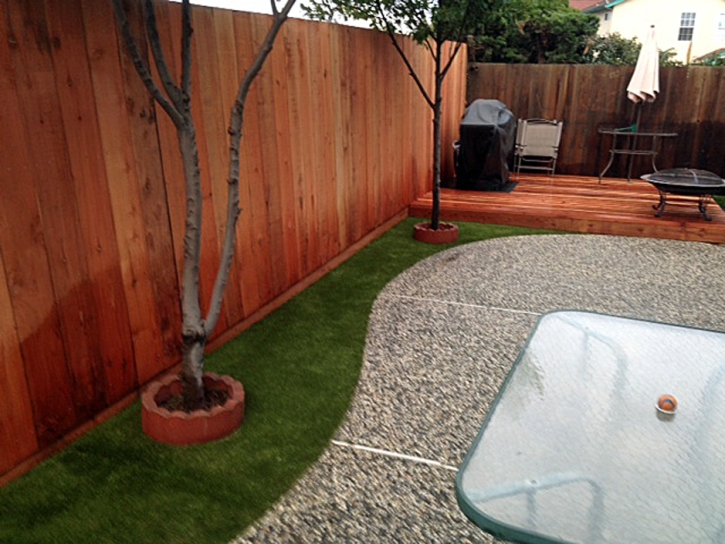 Artificial Grass Carpet Trafalgar, Indiana Dogs, Backyard Design