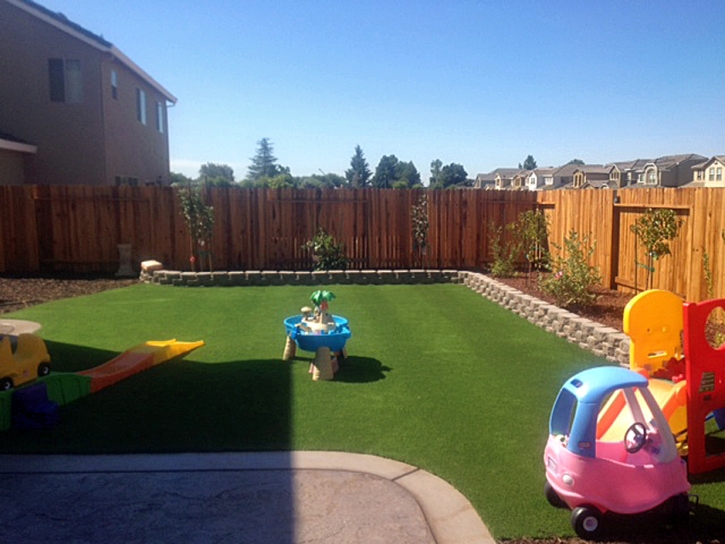 Artificial Grass Elnora, Indiana Indoor Playground, Backyard Landscape Ideas