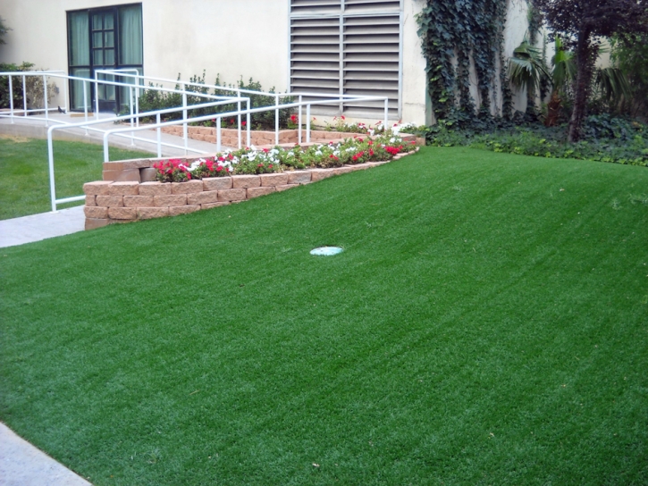Artificial Grass French Lick, Indiana Landscape Ideas, Front Yard Landscaping Ideas