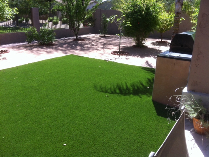 Artificial Grass Installation Clarks Hill, Indiana Dog Hospital, Small Backyard Ideas