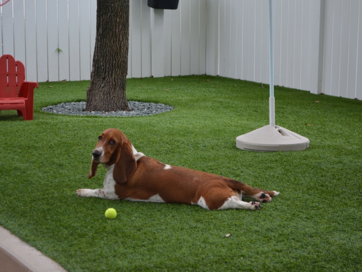 Artificial Grass Installation Country Squire Lakes, Indiana Dog Parks, Dogs