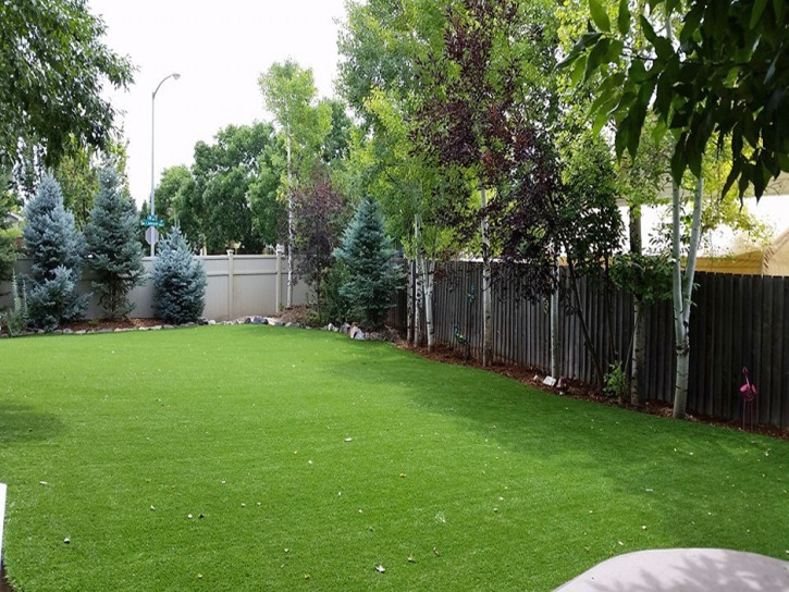 Artificial Grass Warren Park, Indiana Gardeners, Backyard Design