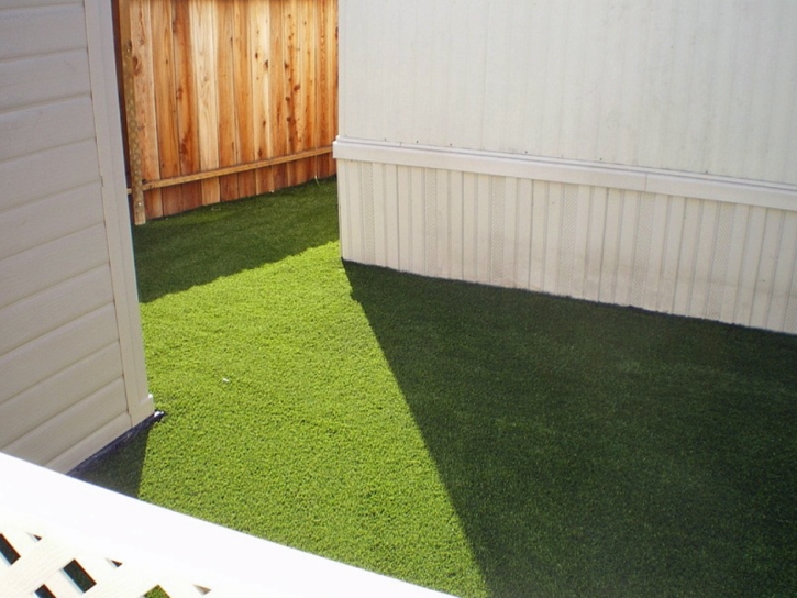 Artificial Grass Winona Lake, Indiana Fake Grass For Dogs, Backyard Landscaping