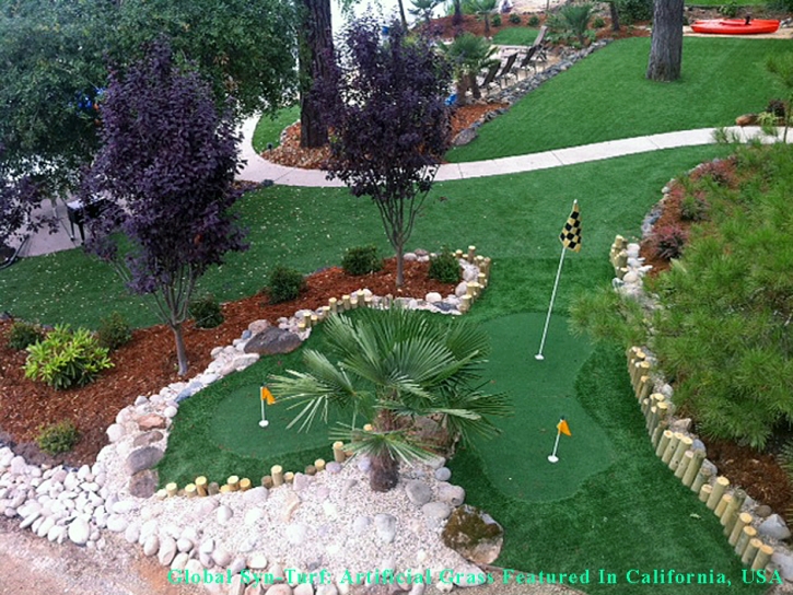 Artificial Lawn Indianapolis, Indiana Putting Green Grass, Backyard Landscape Ideas