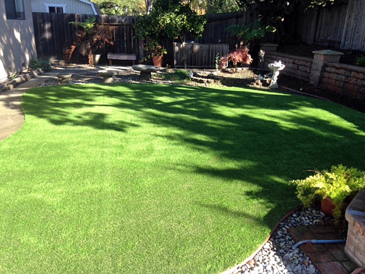 Artificial Lawn Shirley, Indiana Pet Grass, Small Backyard Ideas