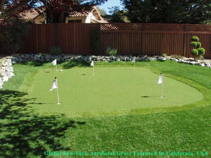 Artificial Turf Cost Clermont, Indiana Rooftop, Backyard Garden Ideas