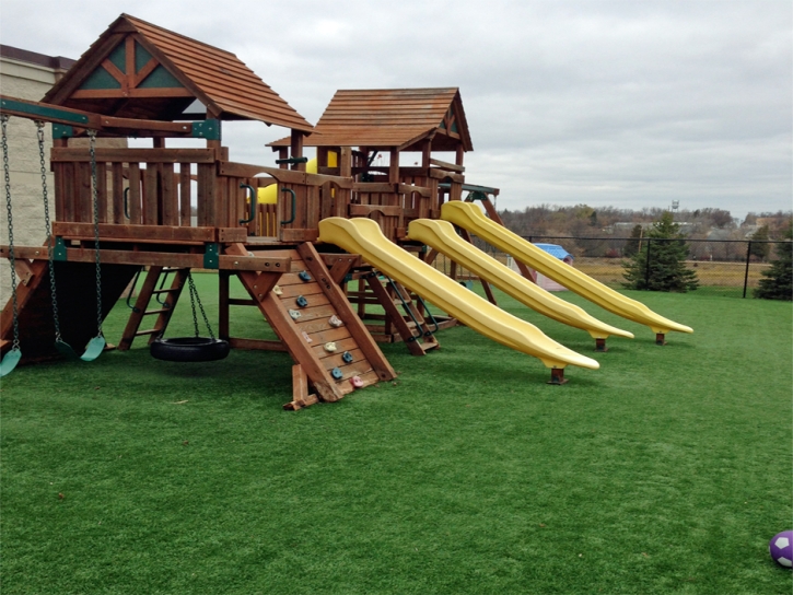 Artificial Turf Cost McCordsville, Indiana Indoor Playground, Commercial Landscape