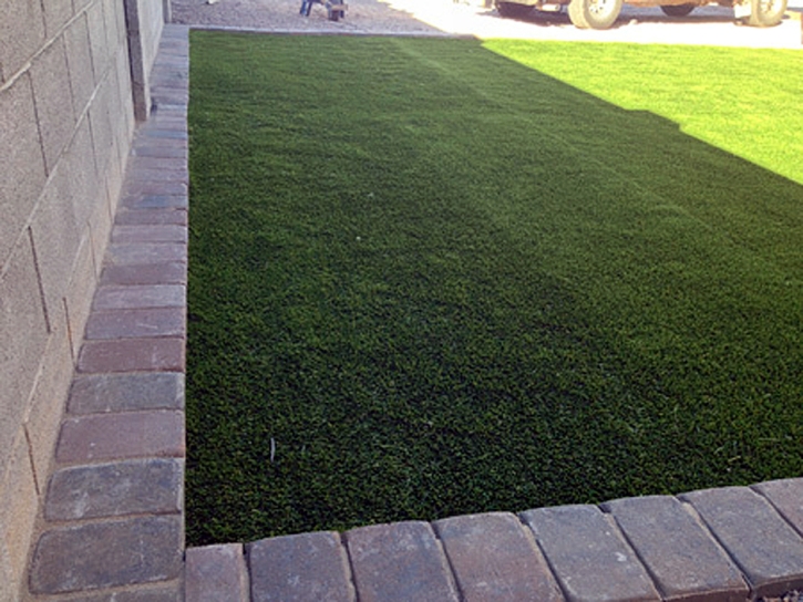 Artificial Turf Cost Meridian Hills, Indiana Indoor Dog Park, Front Yard