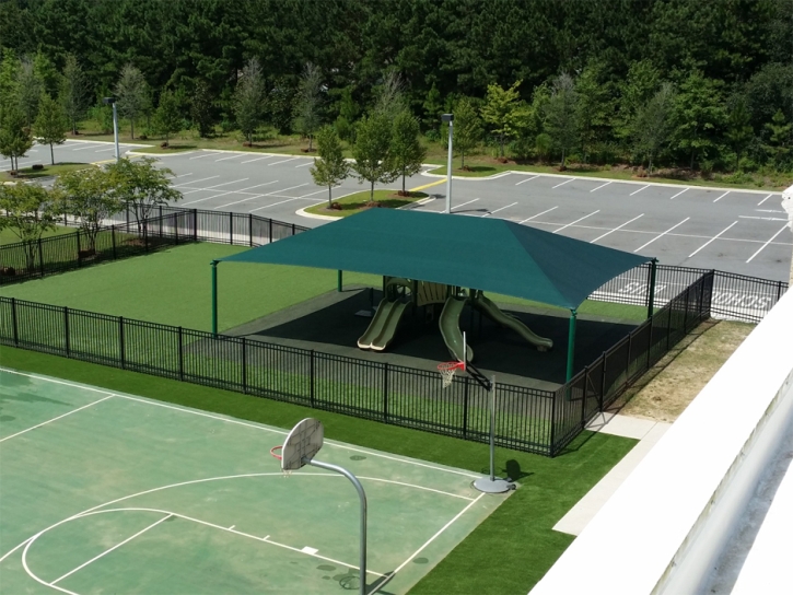 Artificial Turf Cost Williamsport, Indiana Lacrosse Playground, Recreational Areas