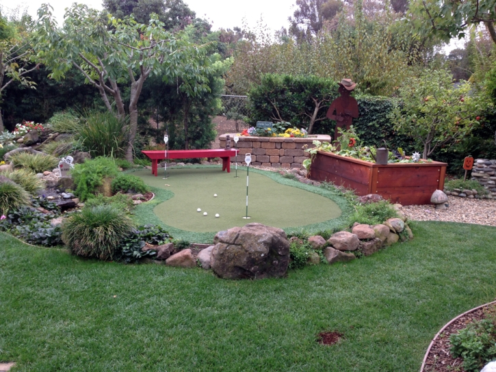 Artificial Turf Dunkirk, Indiana Indoor Putting Green, Backyard Garden Ideas