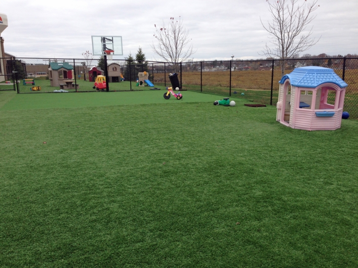 Artificial Turf Installation West College Corner, Indiana Landscaping, Commercial Landscape
