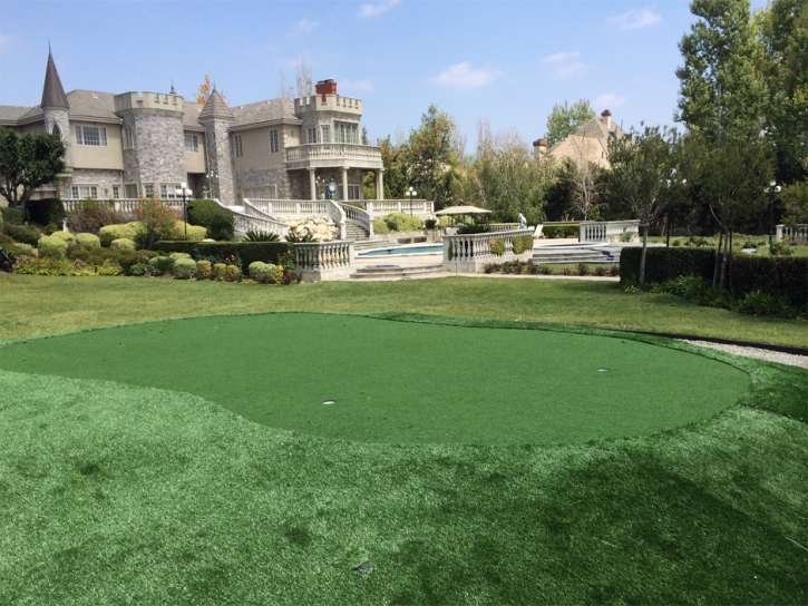 Best Artificial Grass Clayton, Indiana How To Build A Putting Green, Small Front Yard Landscaping