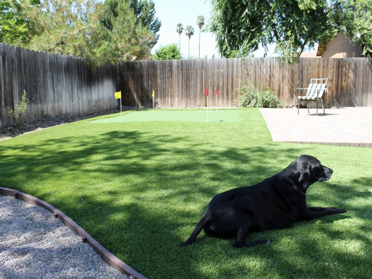 Best Artificial Grass Elwood, Indiana Pictures Of Dogs, Dog Kennels
