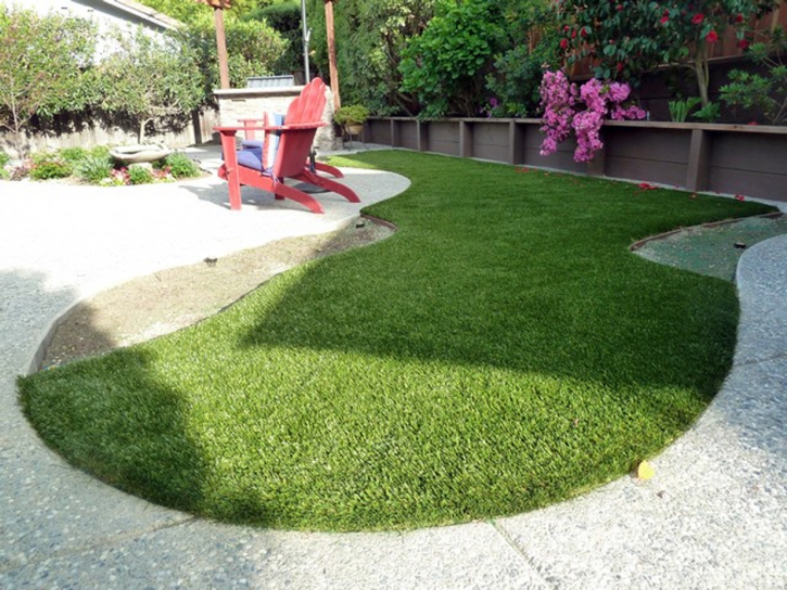 Best Artificial Grass Milroy, Indiana Landscape Ideas, Backyard Ideas