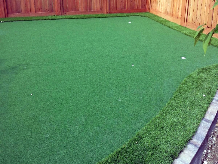 Fake Grass Carpet Carlisle, Indiana Landscape Ideas, Small Backyard Ideas
