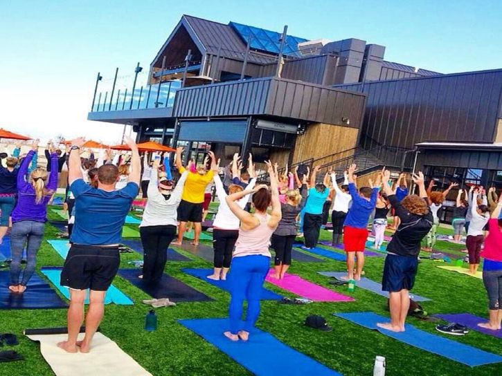 Fake Grass Carpet Homecroft, Indiana Softball, Commercial Landscape