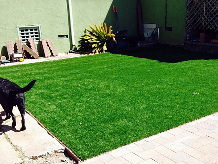 Fake Grass Carpet Pittsboro, Indiana Lawn And Landscape, Backyard Landscaping Ideas