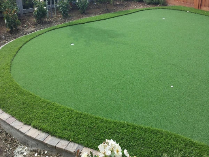 Fake Grass Rocky Ripple, Indiana Outdoor Putting Green, Backyards