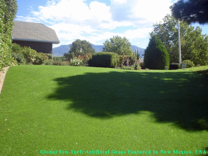 Fake Lawn Southport, Indiana Artificial Grass For Dogs, Backyard Landscape Ideas