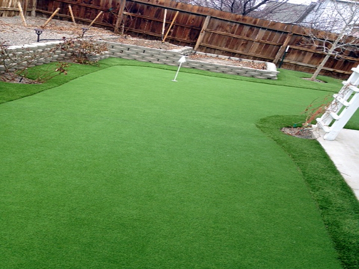 Fake Turf Morristown, Indiana Diy Putting Green, Backyard Designs