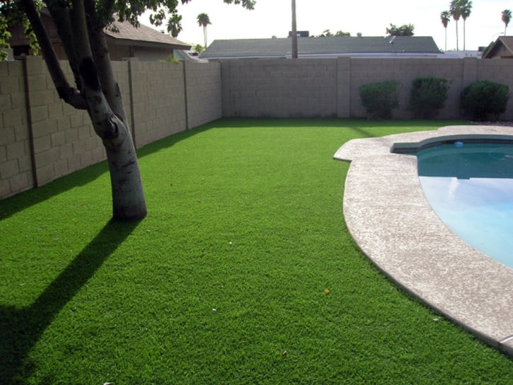Fake Turf Westfield, Indiana Landscape Rock, Backyard Ideas