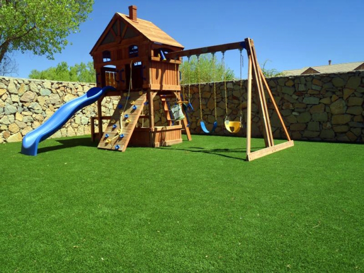 Grass Carpet Oak Park, Indiana Garden Ideas, Backyard