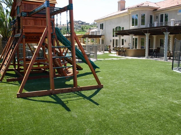 Grass Carpet Waynetown, Indiana Kids Indoor Playground, Backyard Design