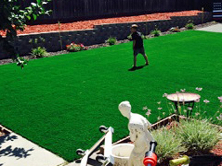 Grass Turf Saint Meinrad, Indiana Landscape Ideas, Backyard Garden Ideas