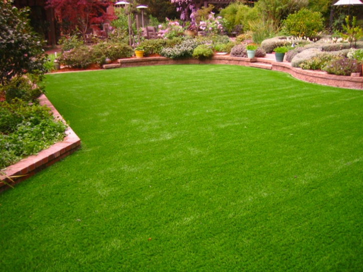 Installing Artificial Grass Dale, Indiana Home And Garden, Backyard Landscape Ideas