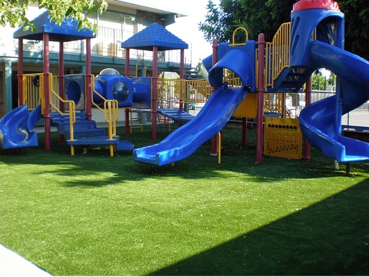 Outdoor Carpet Shelbyville, Indiana Lawn And Garden, Commercial Landscape