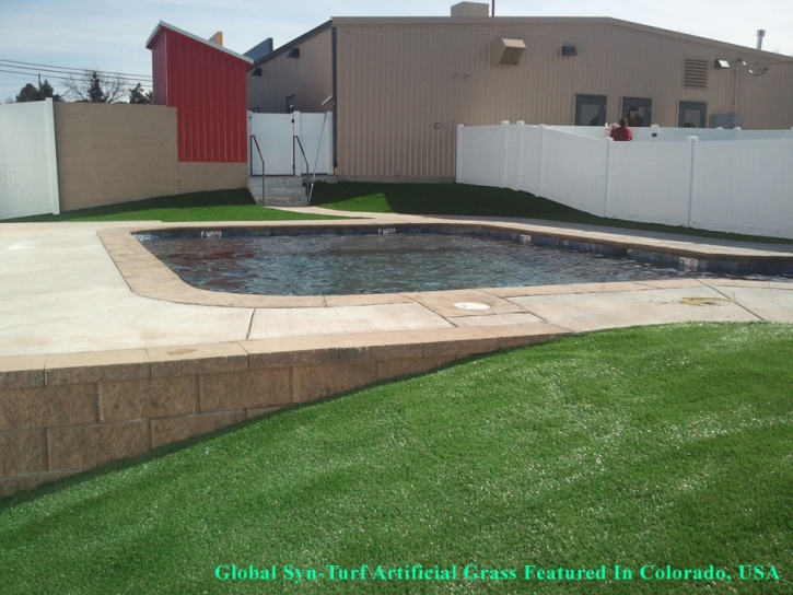 Plastic Grass Carmel, Indiana Gardeners, Pool Designs