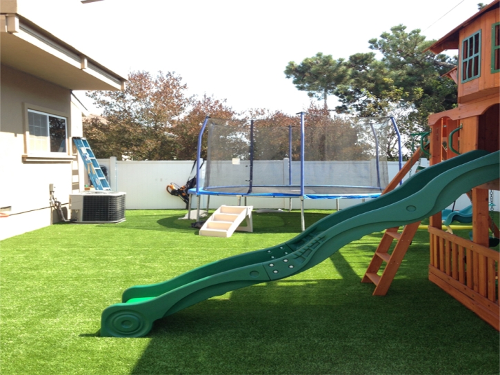 Plastic Grass Lowell, Indiana Backyard Playground, Backyard Ideas