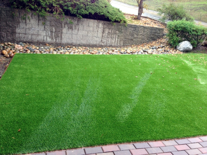 Plastic Grass Oolitic, Indiana Grass For Dogs, Backyard Landscaping Ideas