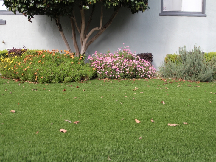 Synthetic Grass Cost Cloverdale, Indiana Backyard Playground, Landscaping Ideas For Front Yard