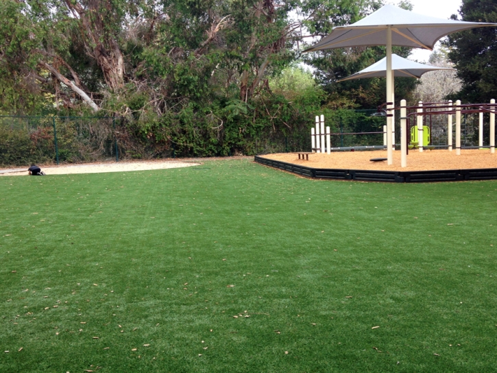Synthetic Grass Cost Kouts, Indiana Playground Turf