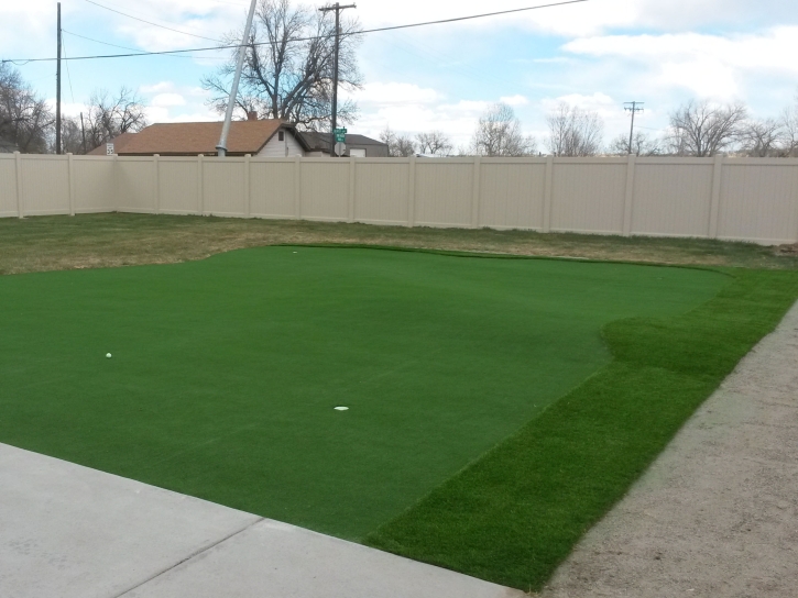 Synthetic Grass Cost Mulberry, Indiana Putting Green Flags, Backyard Ideas