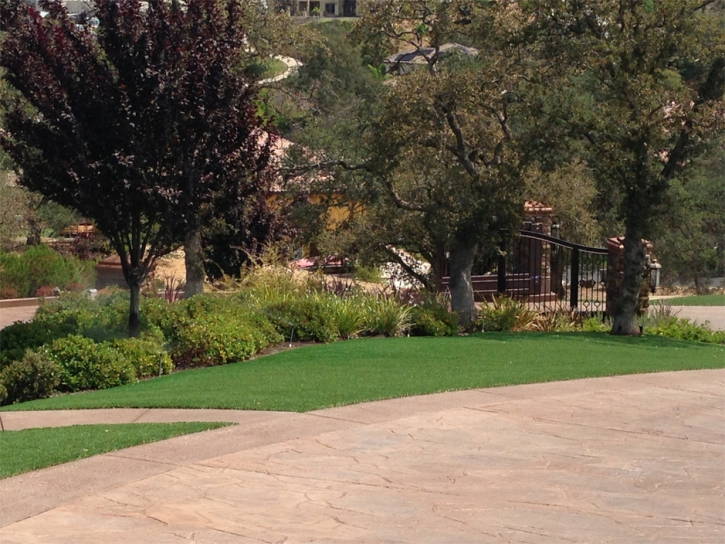 Synthetic Grass Saint Paul, Indiana Gardeners, Backyard Landscaping Ideas