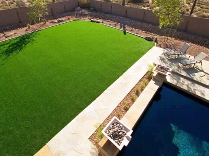 Synthetic Turf Farmersburg, Indiana Landscaping Business, Natural Swimming Pools