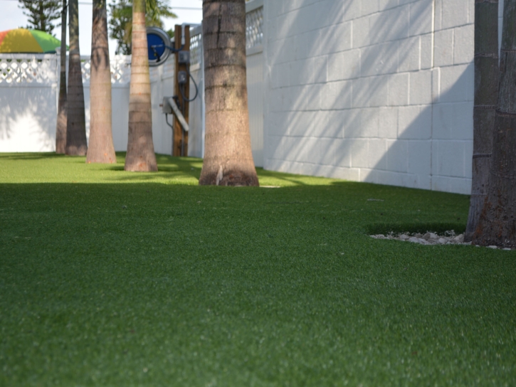 Synthetic Turf Supplier Burlington, Indiana Lawn And Garden, Commercial Landscape