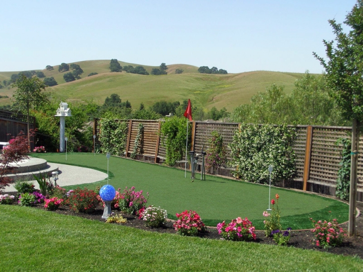 Synthetic Turf Supplier Galena, Indiana Putting Green Carpet, Backyard Designs