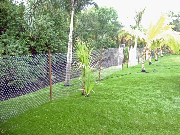 Synthetic Turf Supplier Monon, Indiana Lawns, Backyard Landscaping