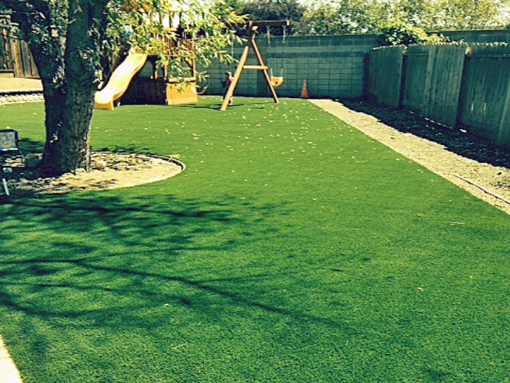 Synthetic Turf Supplier New Haven, Indiana Rooftop, Backyard Ideas