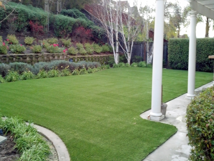Synthetic Turf Supplier Palmyra, Indiana Cat Grass, Small Backyard Ideas
