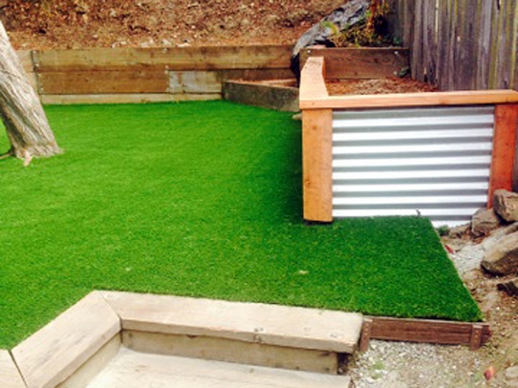 Synthetic Turf Supplier Rocky Ripple, Indiana Landscaping Business, Backyard Designs