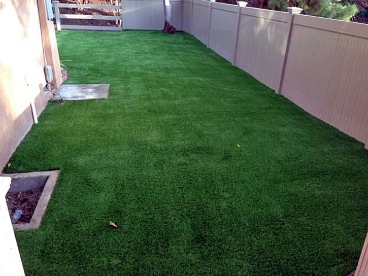 Turf Grass Bass Lake, Indiana Artificial Grass For Dogs, Backyard Makeover
